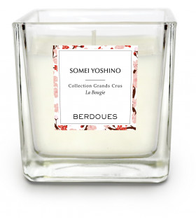 Bougie Parfumée Selva do Brasil 180g de Berdoues