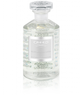 Silver Mountain Water Millésime Eau de Parfum Flacon 250ml de Creed