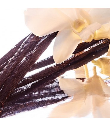 Shalimar Philtre de Parfum de Guerlain